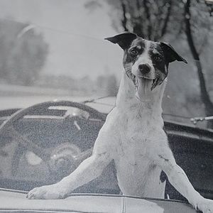 Meet your Posher, Fahey